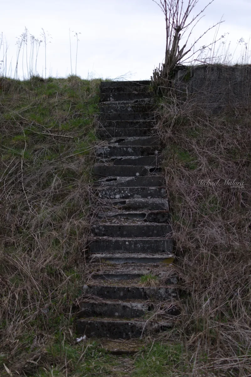 Treppe